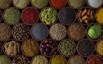 The case for Closed-End Funds in Emerging Markets