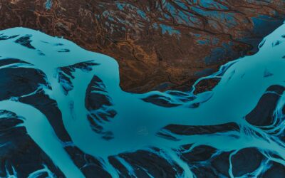 Absolute Return: Building Stability Across Cycles