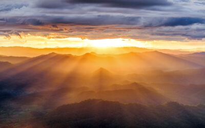 Liquid Alternatives in 2026